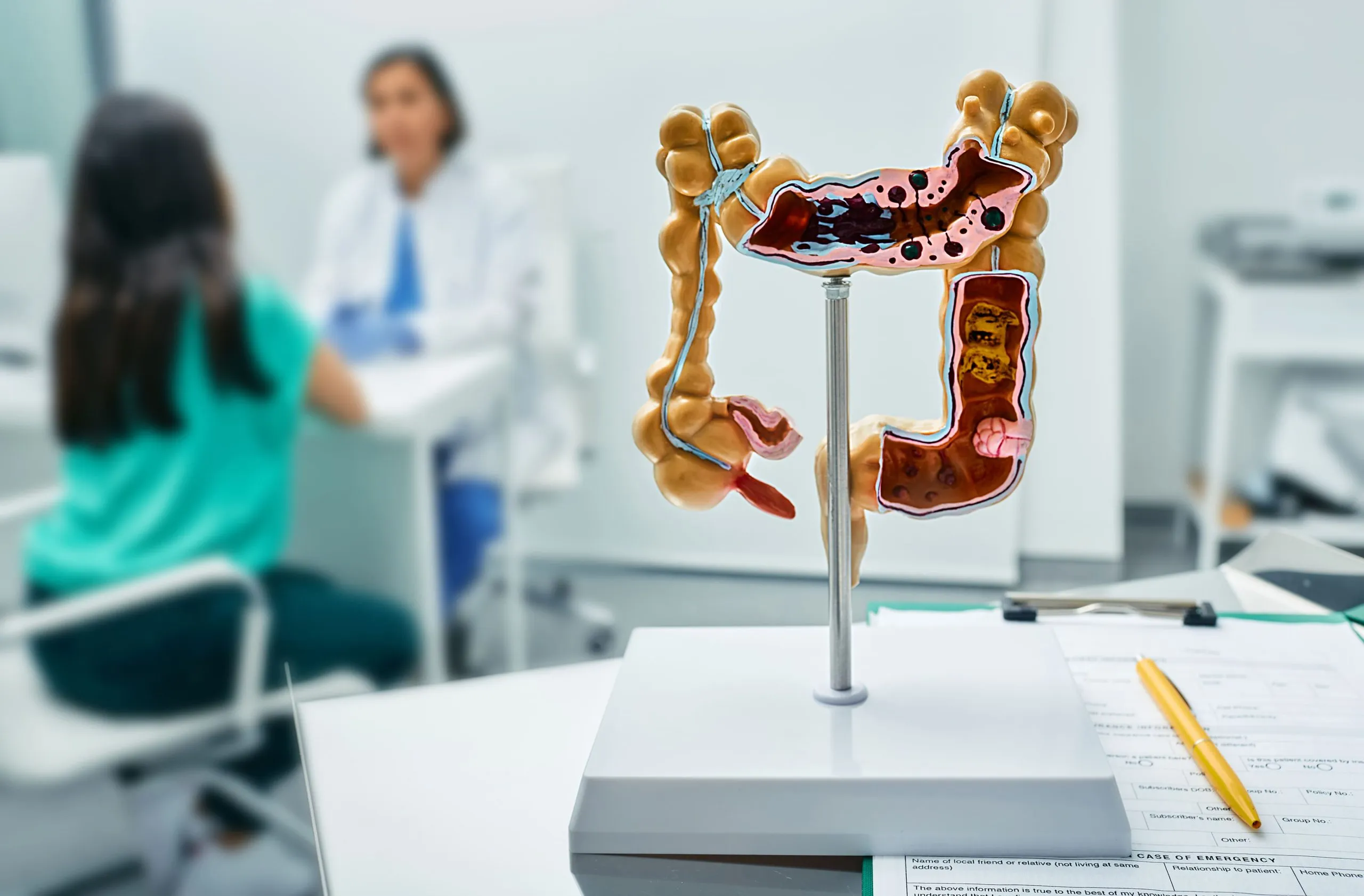 When Should You Visit a Colorectal Surgeon in Melbourne When Should You Visit a Colorectal Surgeon in Melbourne